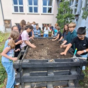 Kartoffeln im Schulgarten