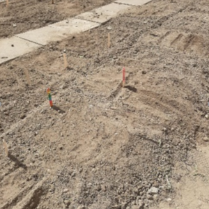 Die 5a im Schulgarten