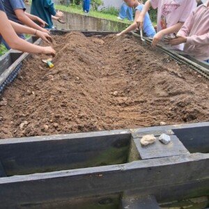 Kartoffeln im Schulgarten