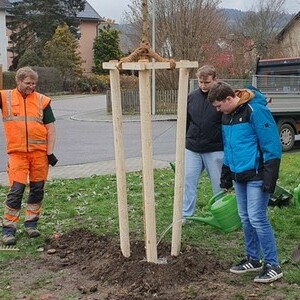 Ein Baum für den Klimaschutz