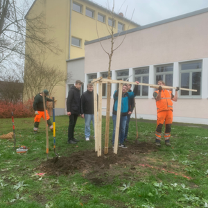 Ein Baum für den Klimaschutz