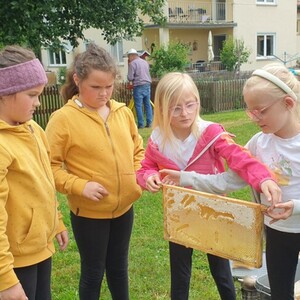 Unser Bienentag (GS Trausnitz)