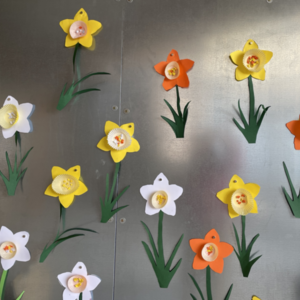 Impressionen aus dem Schulhaus