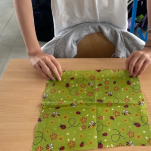 Alltagskompetenzen – Projekt der Klasse 6a