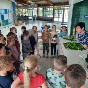 Auf der Wiese ist was los! - Ausflug der ersten Klassen